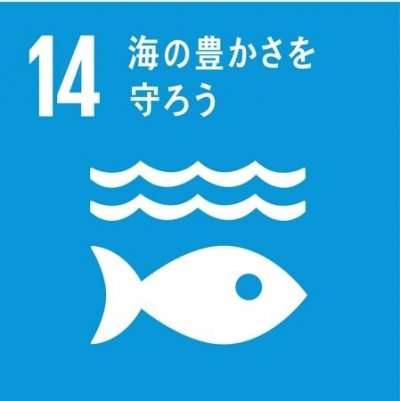 豊田市の車販売会社ユーズネットのSDGs目標14番